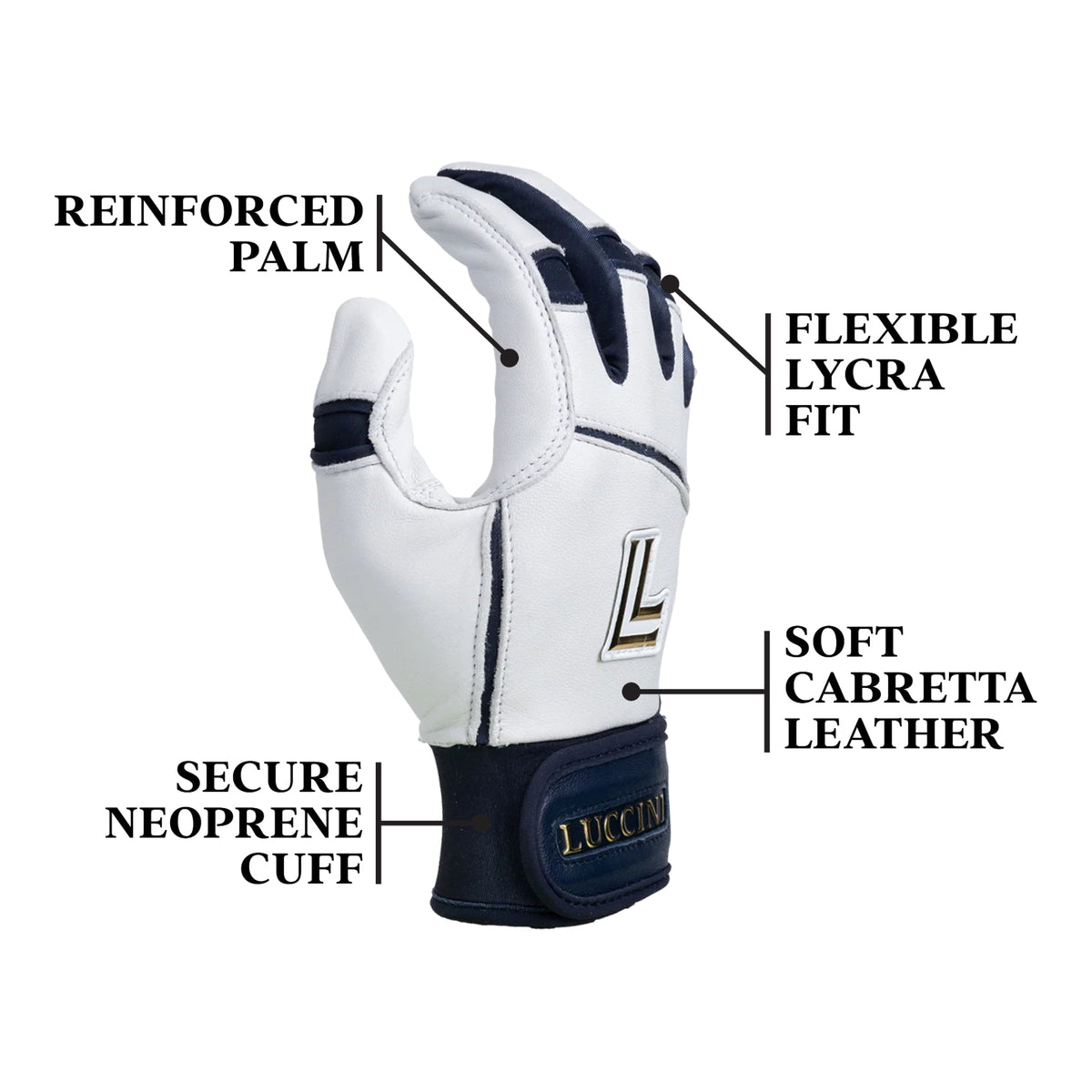 Legacy Series – White/Navy